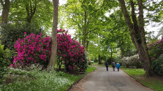 Woodthorpe Grange Park